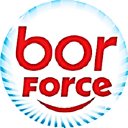 BorForce